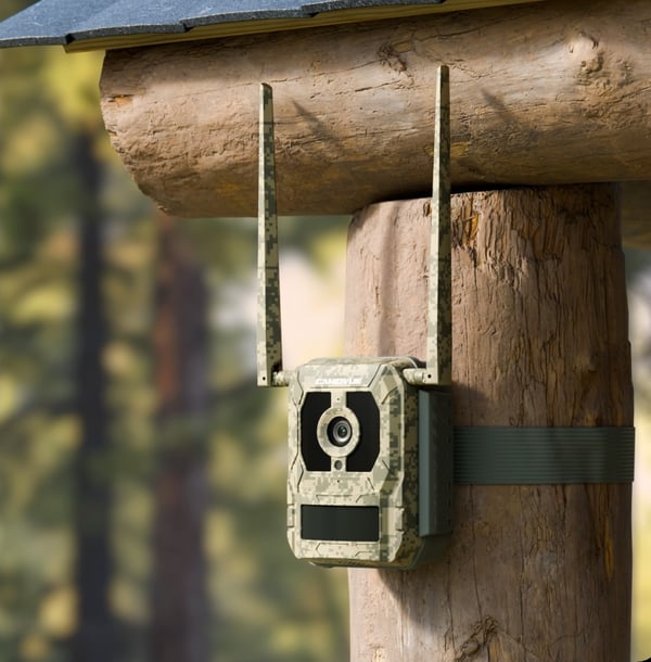 Reolink Talon Pro 4G-viltkamera för utomhusbruk
