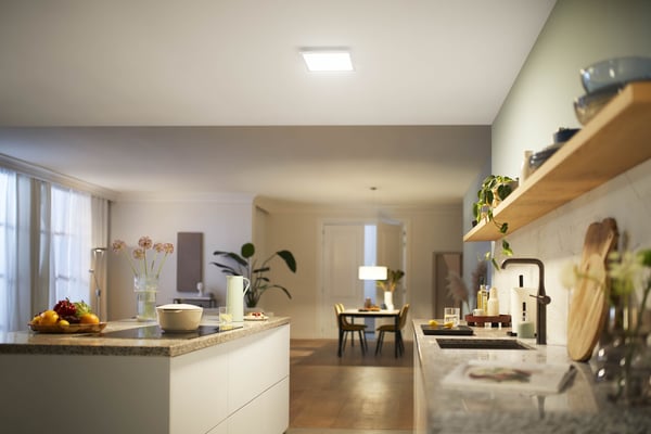 Philips Panel LED CL560 - loftlampe, kvadratisk, hvid, 1200 lm, 4000K