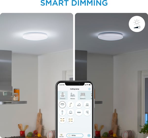 WiZ Adria -loftlampe, rund, 17W, 4000K, WiFi, dæmpbar