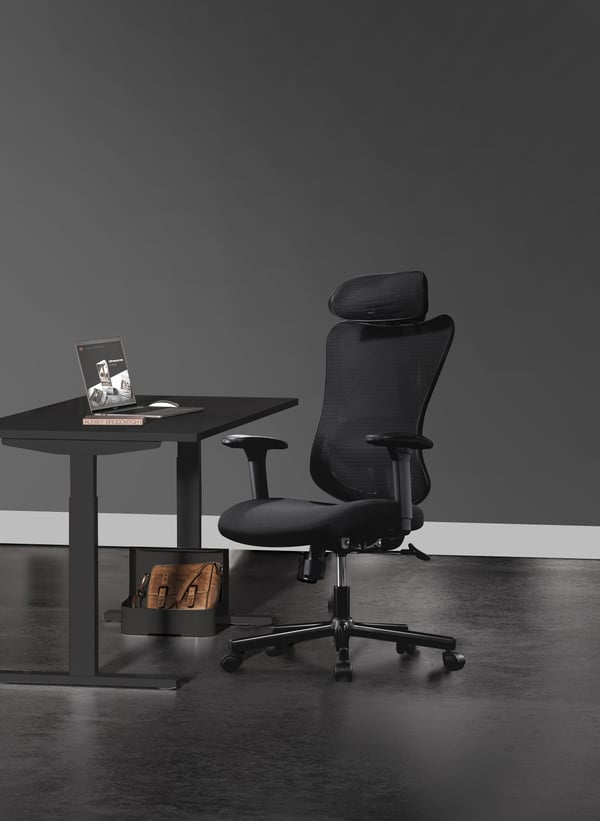 ErgoWork Lumbacker -arbetsstol, svart