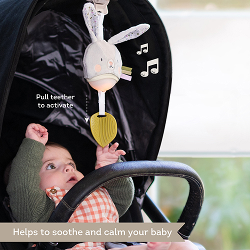 Taf Toys Urban Garden Bunny Musikalsk legetøj