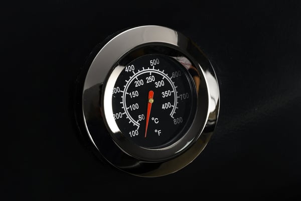 Anton Oliver Black BX-Double gas-/kolgrill