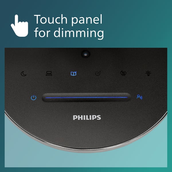 Philips Einstein DSK602 -skrivebordslampe, grå