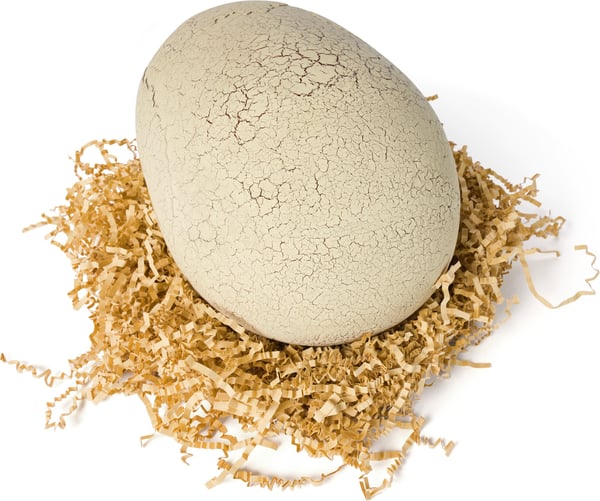 Primal Hatch kläckande dino - interaktiv dinosaurie