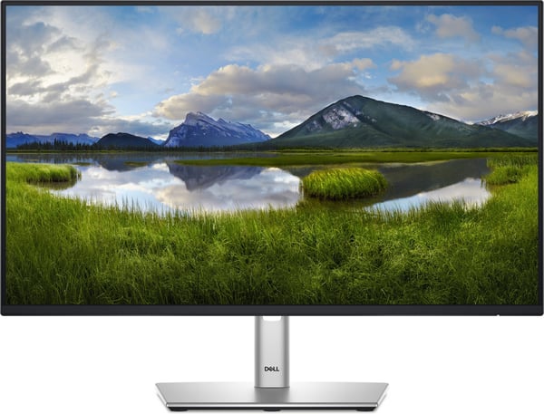 Dell 24 Pro P2425HHF 24" Full HD-skärm