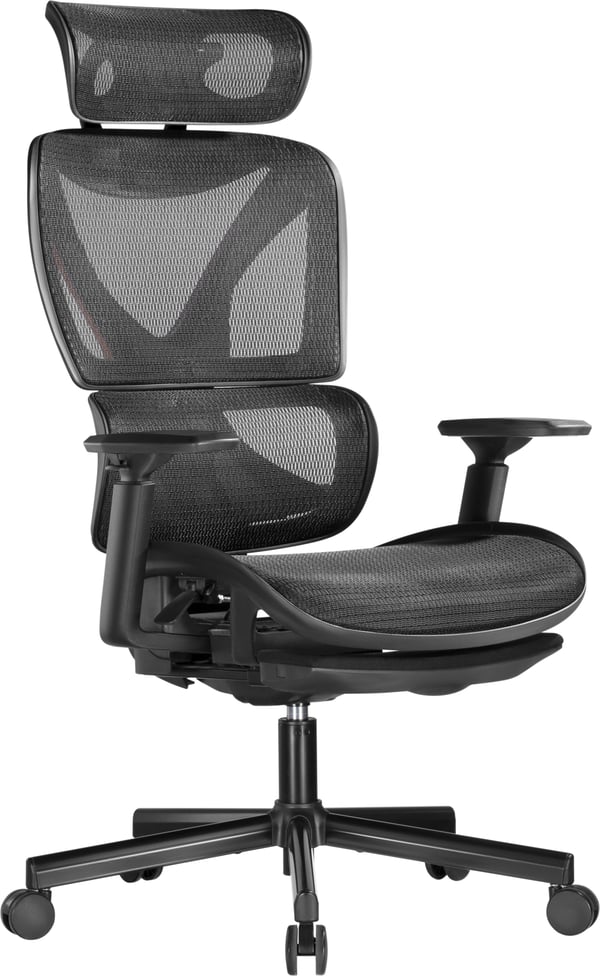 ErgoWork SpineX arbetsstol, svart