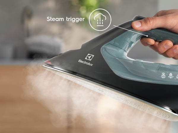 Electrolux Renew 800 E8SI2-6OG strygejern