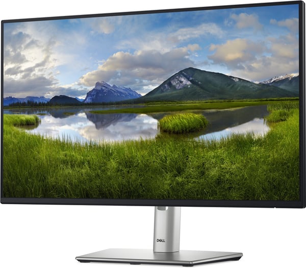 Dell 24 Pro P2425HHF 24" Full HD-skärm