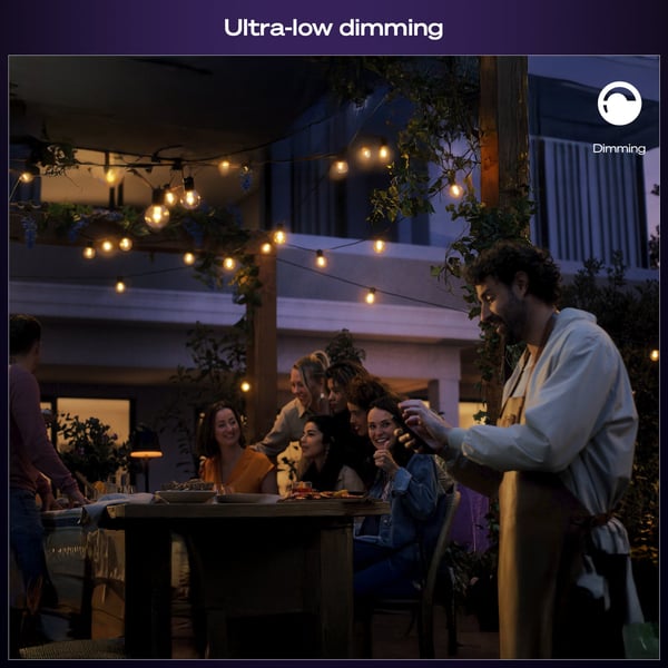 Philips Hue Festavia globe ljusslinga för utomhusbruk, 7 m