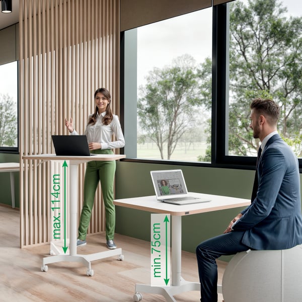 Leitz Ergo -justerbart skrivbord på hjul, liten