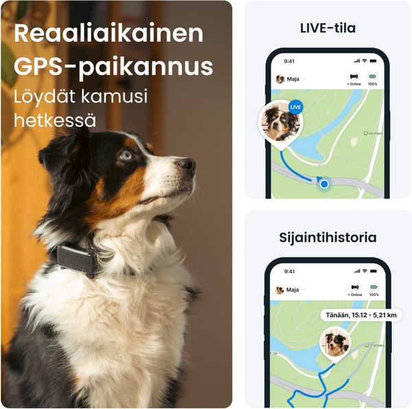 Tractive DOG 6 GPS-spårare