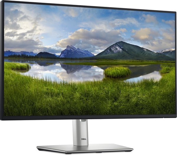 Dell 24 Pro P2425HHF 24" Full HD-skärm