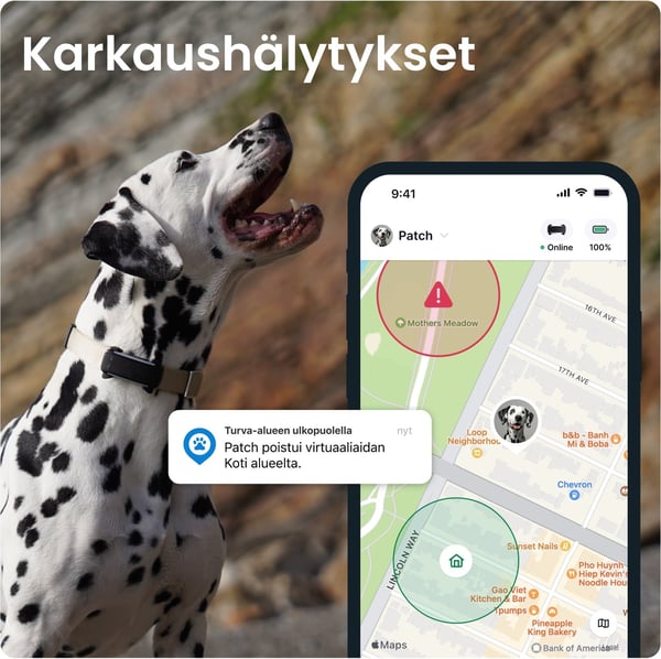 Tractive DOG 6 GPS-spårare