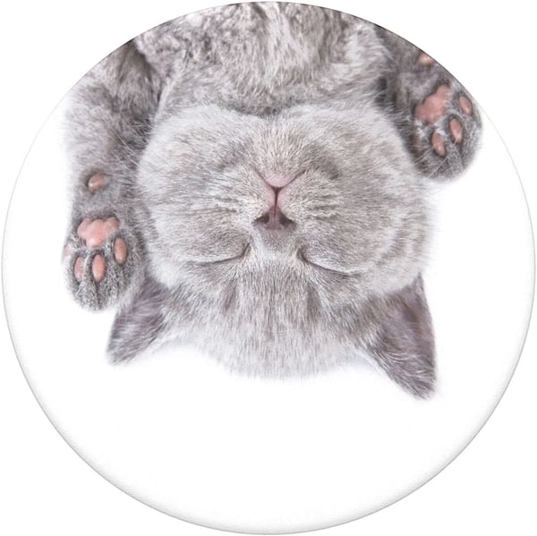 PopSockets PopGrip -hållare, Cat Nap