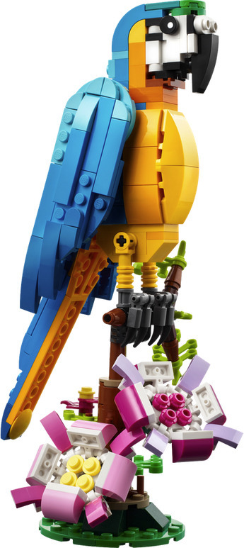 LEGO Creator Exotisk papegoja 31136 Byggset (253 delar)