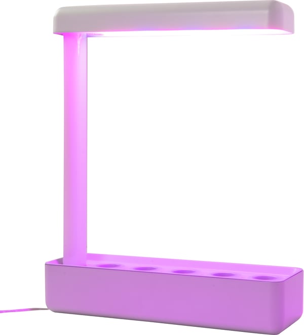 Airam Herby plante lampe, 10W/840, 650 lm