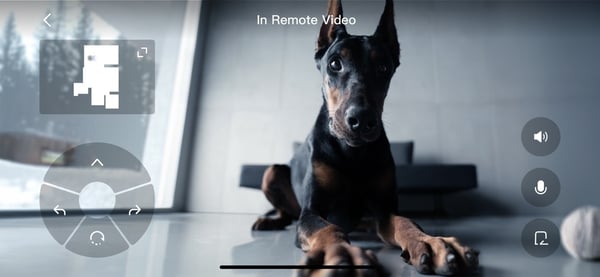 DJI ROMO P robotdammsugare