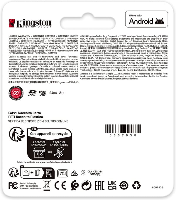 Kingston 1Tt microSDXC Canvas Go! Plus Gen4 minneskort