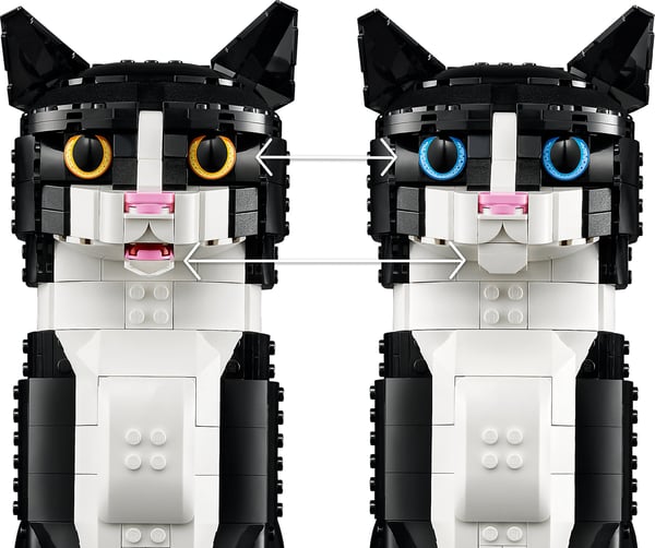 LEGO Ideas Svartvit katt, Presentidé för djurälskare 21349