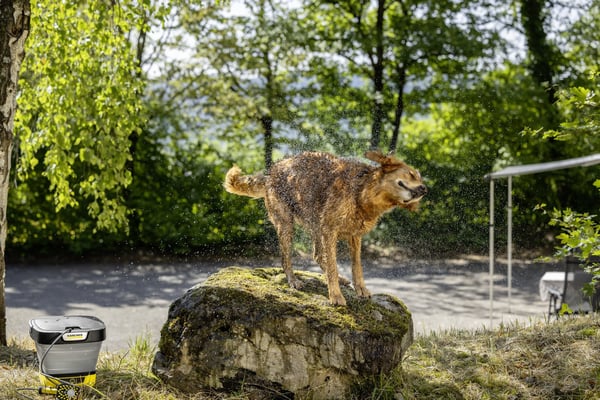 Kärcher OC 3 husdjursborste