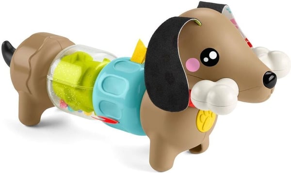 Fisher-Price Click & Spin Activity Pup - babys aktivitetslegetøj