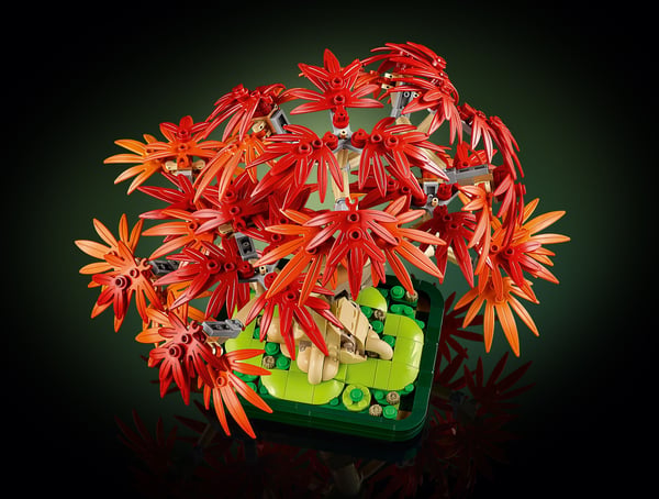 LEGO Botanicals 10348 Rödbladig japansk lönn-bonsaiträd