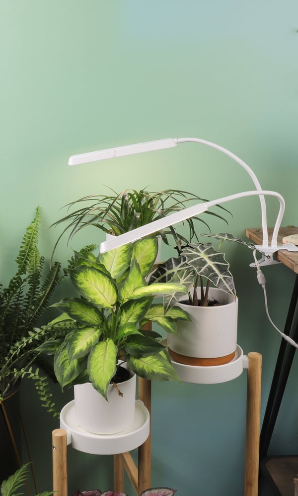 Enne Duo Grow -växtbelysning, 16 W, 780 lm, vit