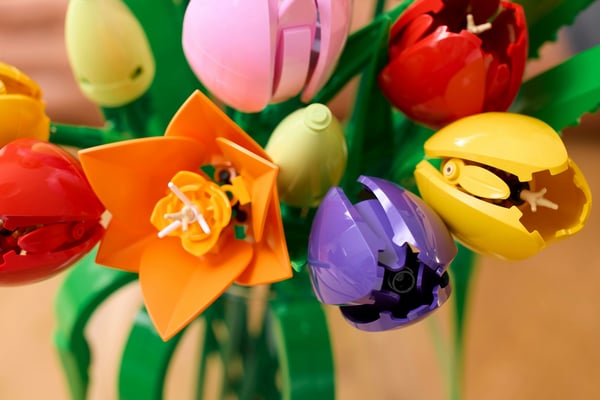 LEGO Botanicals 11501 Tulpanbukett