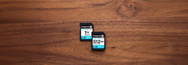 Kingston 512 GB SDXC Canvas Go! Plus Gen4 minneskort