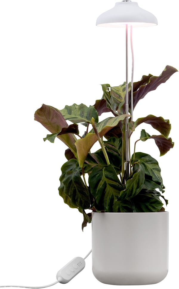 Airam Iris -växtlampa, IP20, 5W, 240 lm, vit