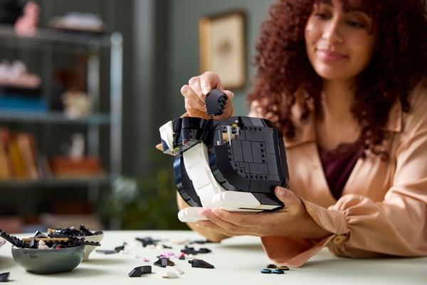 LEGO Ideas Svartvit katt, Presentidé för djurälskare 21349