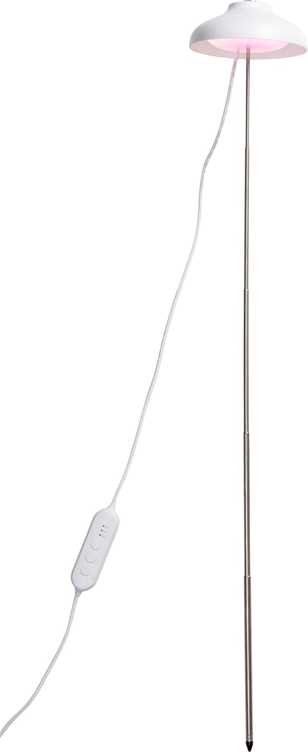 Airam Iris -växtlampa, IP20, 5W, 240 lm, vit