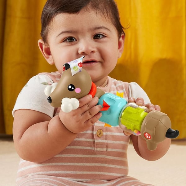 Fisher-Price Click & Spin Activity Pup - babys aktivitetslegetøj