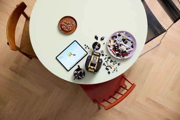LEGO Ideas Svartvit katt, Presentidé för djurälskare 21349