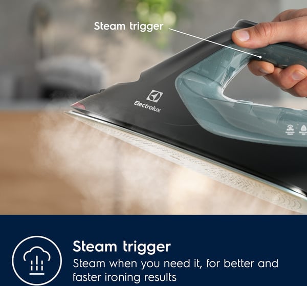 Electrolux Renew 800 E8SI2-6OG strygejern