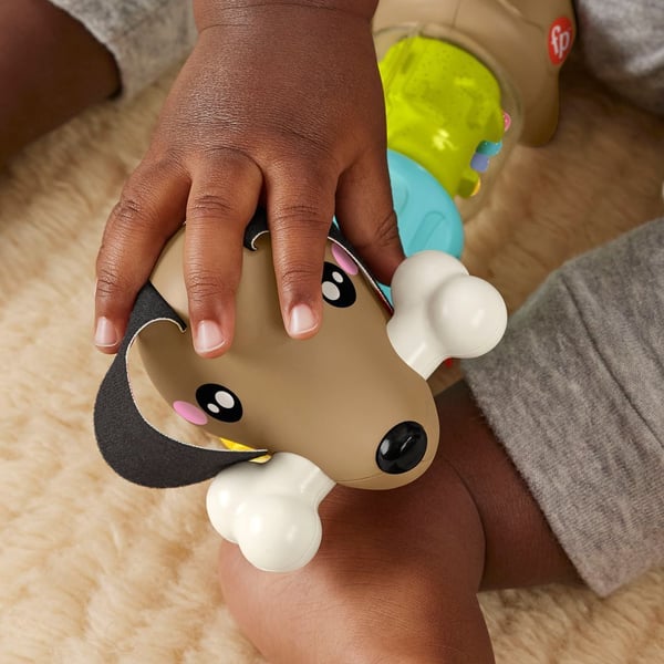 Fisher-Price Click & Spin Activity Pup - babys aktivitetslegetøj