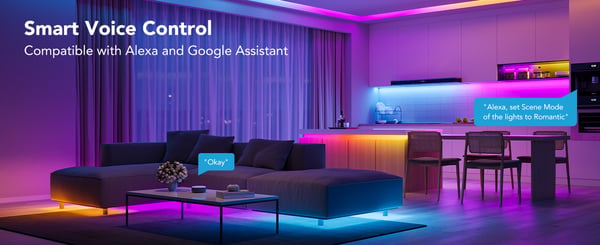 Govee RGBIC Basic Wi-Fi + Bluetooth LED-remsa, 10 m