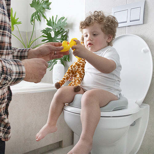 Bumbo Booster Seat toiletstol, grå