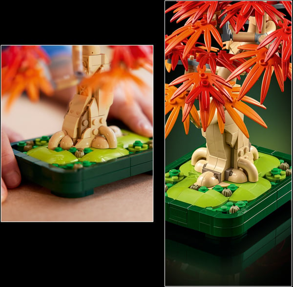 LEGO Botanicals 10348 Rödbladig japansk lönn-bonsaiträd