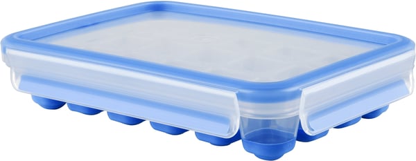 Tefal MasterSeal Fresh -isterningeboks