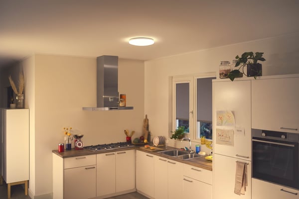 WiZ Adria - loftlampe, rund, 17 W, 2700K, dæmpbar