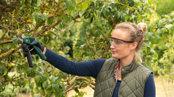 Bosch Easyprune - batterisaks til grene
