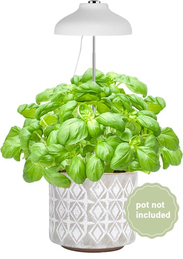 Enne Bijou Grow -växtbelysning, USB, 5 W, 240 lm, vit