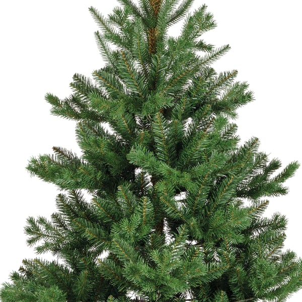 Enne Forest Jade äkta utseende julgran, 210 cm