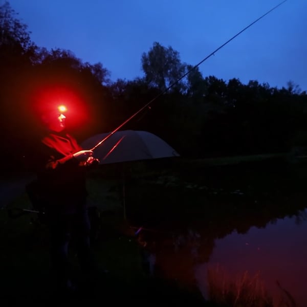 Fenix HL45R pannlampa, 1000 lm
