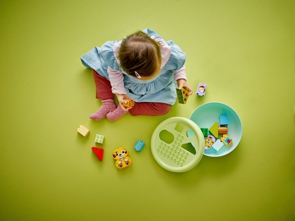 LEGO Duplo 10441 - Lär dig former: Valparnas hus