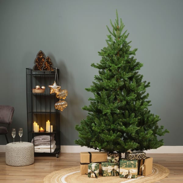 Enne Forest Jade äkta utseende julgran, 210 cm