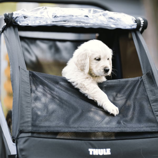 Thule Courier cykelvagn