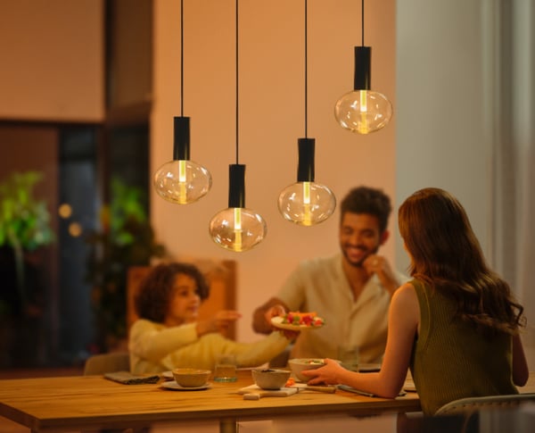 Philips Lightguide Cord - hængende kabel til lampe, sort, E27