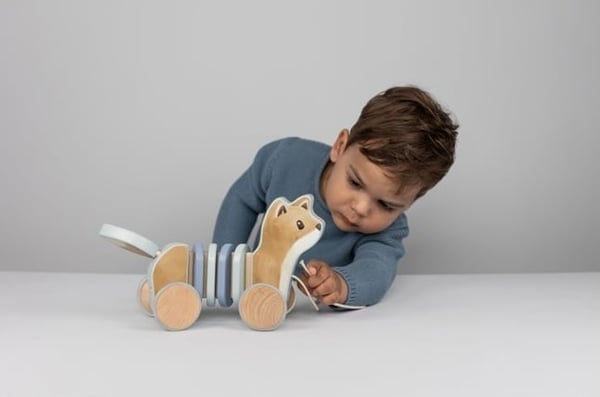 Little Dutch Skogsvänner, Dragsvans Räv